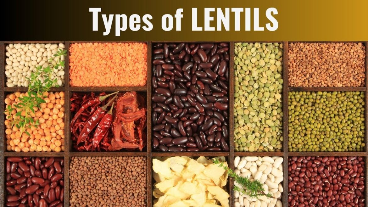 Common Types of Lentils Common Types of Lentils