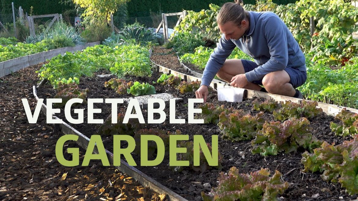The Permaculture Vegetable Garden The Permaculture Vegetable Garden