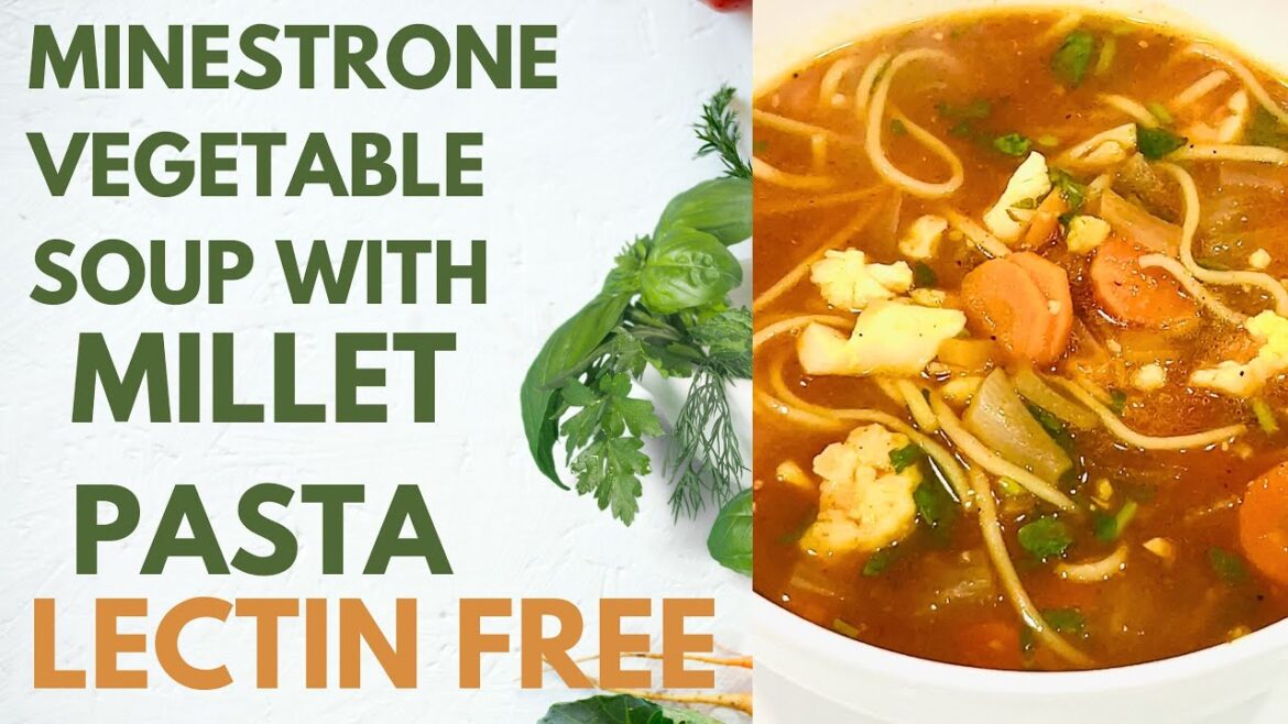 Minestrone Soup Pasta Soup (Lectin Free Dinner Recipe) Easy Quick Vegetable Soup Gluten Free Vegan Minestrone Soup Pasta Soup (Lectin Free Dinner Recipe) Easy Quick Vegetable Soup Gluten Free Vegan