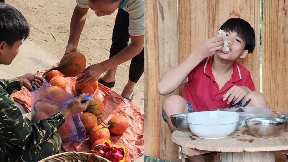 alone: picking gac fruit to sell: taking care of the vegetable garden.welcome new members alone: picking gac fruit to sell: taking care of the vegetable garden.welcome new members