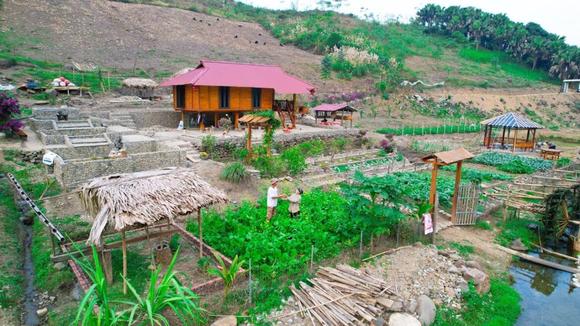 Sang Vy Build a beautiful vegetable garden, cook and build with natural stone – Sang Vy Family Farm Sang Vy Build a beautiful vegetable garden, cook and build with natural stone - Sang Vy Family Farm