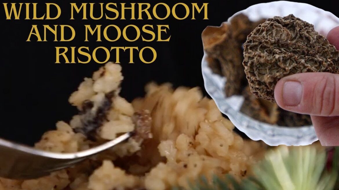 Moose and Morel Mushroom Risotto Recipe! Moose and Morel Mushroom Risotto Recipe!