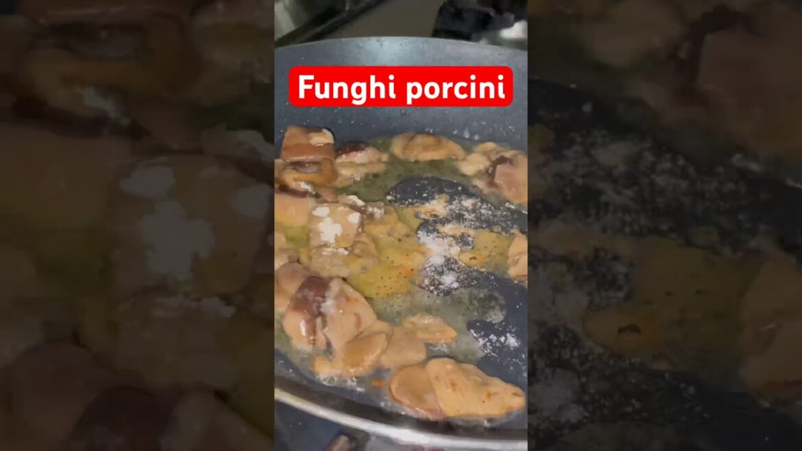 funghi porcini | #funghi #shorts #shortsfeed #shortsvideo funghi porcini | #funghi #shorts #shortsfeed #shortsvideo