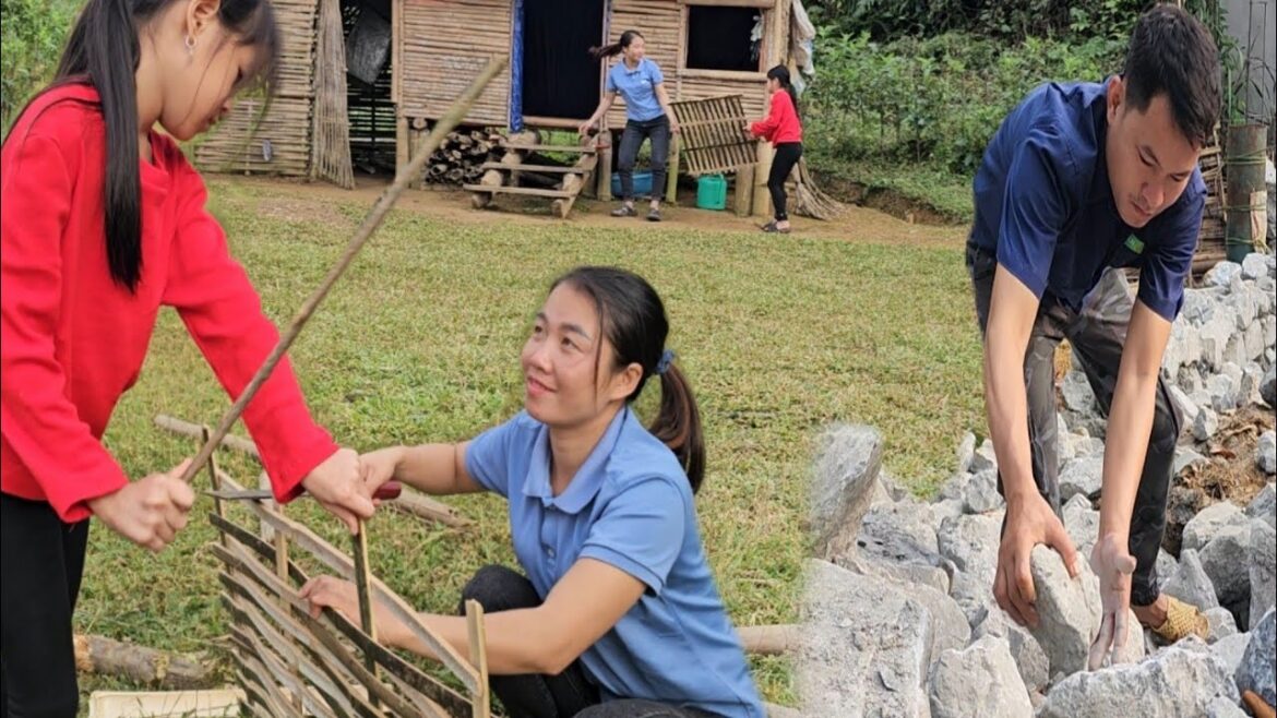 Renovating the vegetable garden – welcoming Uyen home to make new windows – busy life for the future Renovating the vegetable garden - welcoming Uyen home to make new windows - busy life for the future