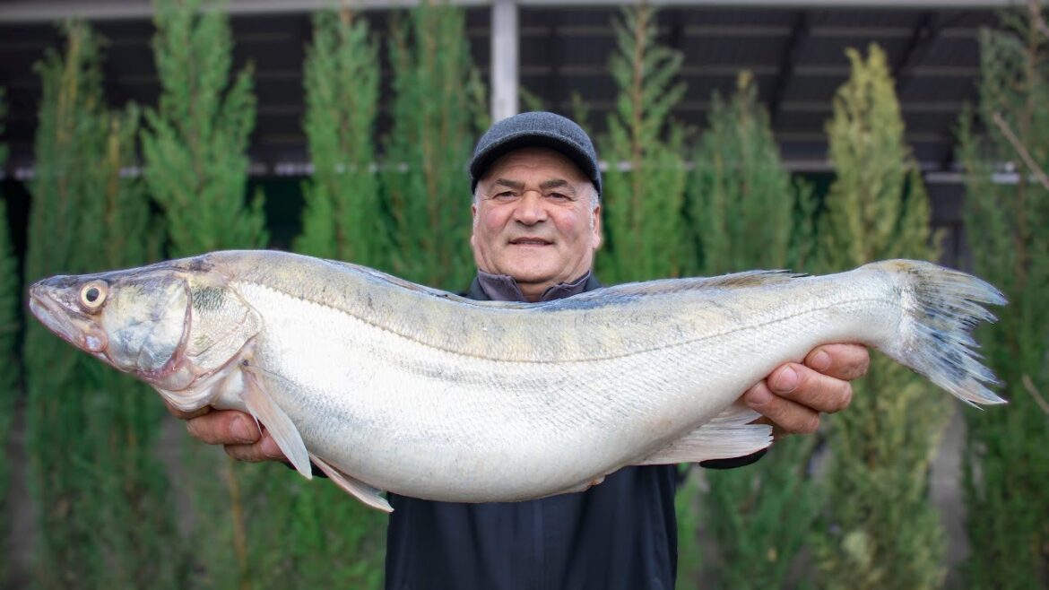 Delicious Fish Recipe Cooked with a Secret Recipe - The Outcome is Mind-Blowing!