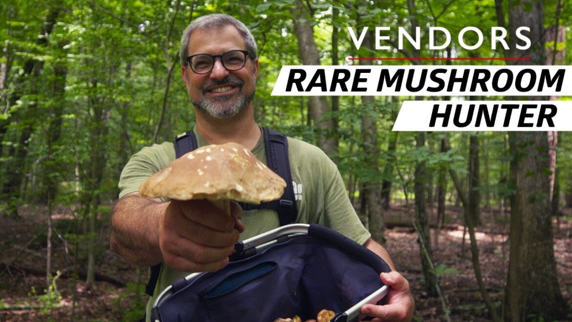 The Risk and Reward Behind Finding the Most Interesting Mushrooms in the Woods — Vendors