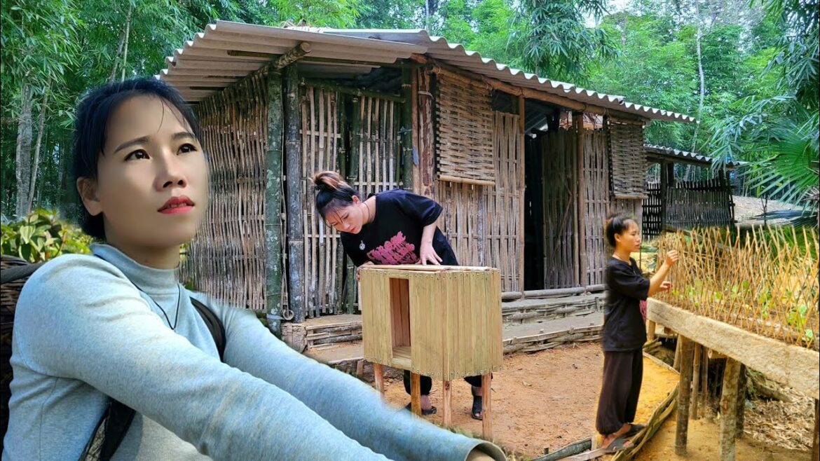 Adding bamboo to fence the vegetable garden, cutting bamboo to design a bowl station Adding bamboo to fence the vegetable garden, cutting bamboo to design a bowl station