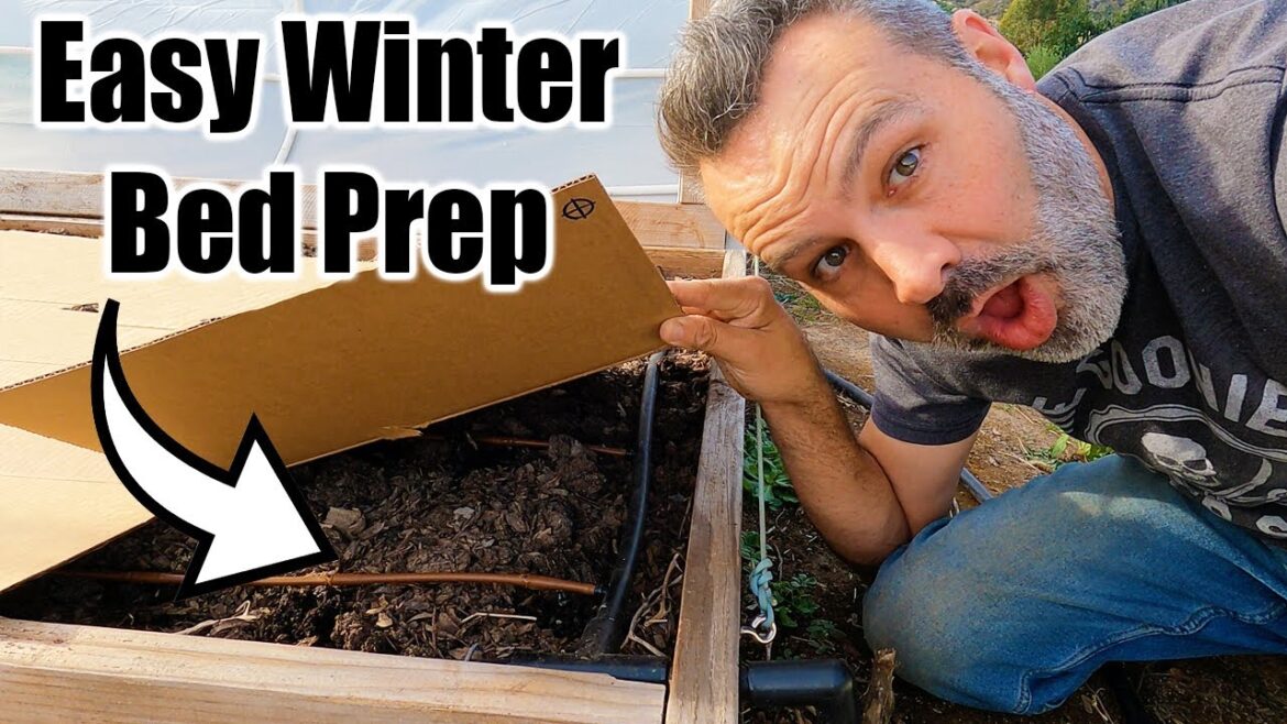 Easy Prep Now = Great Spring Garden // Get Your Vegetable Garden Ready For Winter Weather Easy Prep Now = Great Spring Garden // Get Your Vegetable Garden Ready For Winter Weather