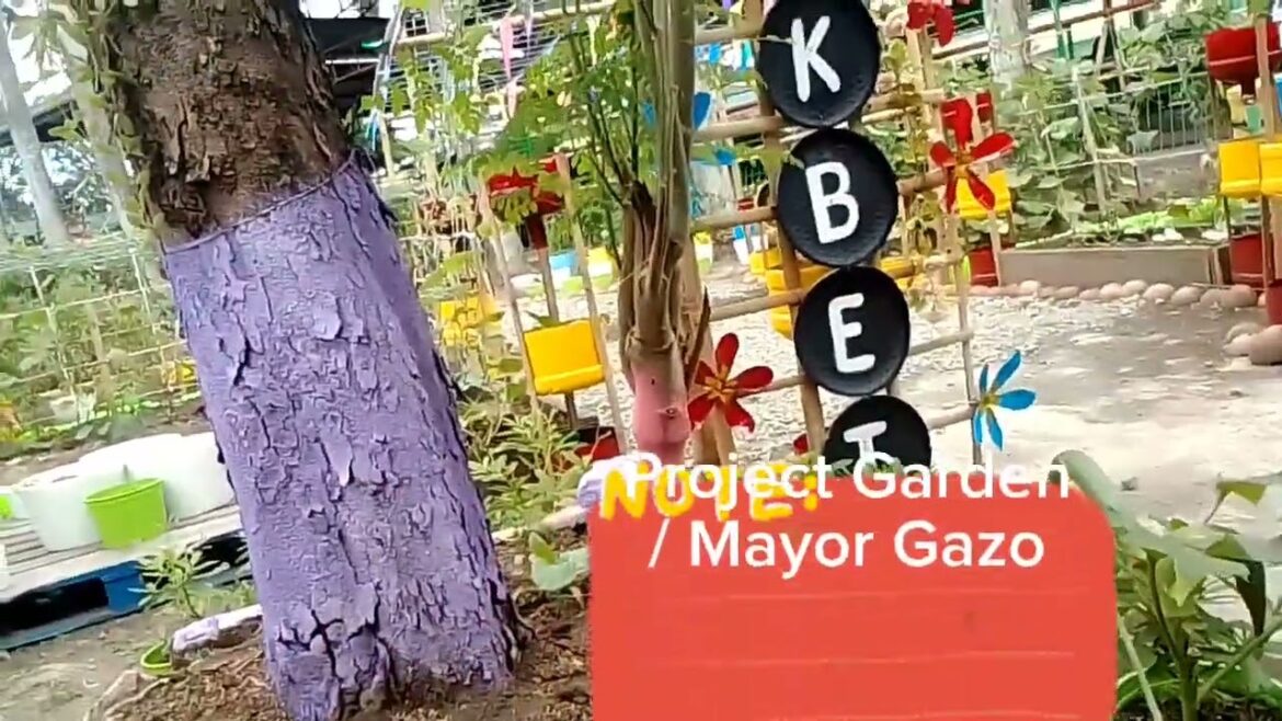 Vegetable Garden / Mayor Gazo Project Vegetable Garden / Mayor Gazo Project