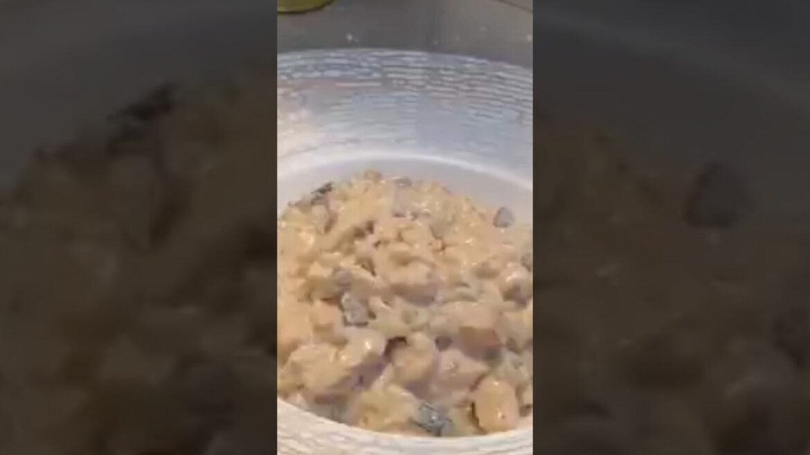 how to make wild mushroom risotto #viral #youtube #youtubeshorts #trending #trendingshorts #viral how to make wild mushroom risotto #viral #youtube #youtubeshorts #trending #trendingshorts #viral