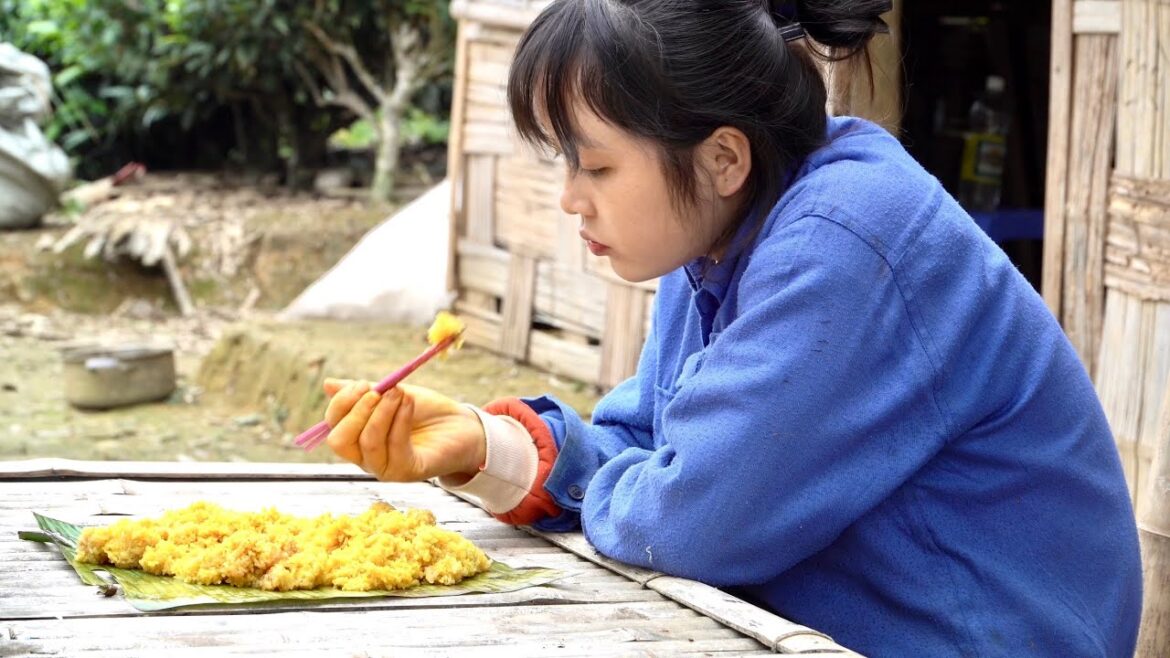 Visit the newly planted vegetable garden & newly hatched chicks.Cook delicious turmeric sticky rice Visit the newly planted vegetable garden & newly hatched chicks.Cook delicious turmeric sticky rice