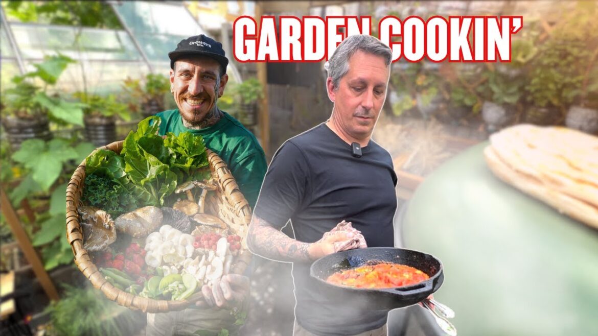 I cooked a full meal from this small city garden ft Spicy Moustache