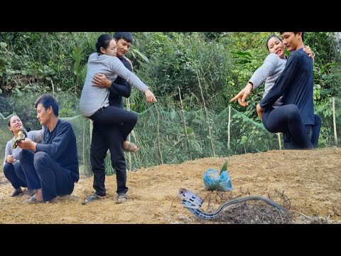 While working in the vegetable garden, Duyen was very scared because there were snakes While working in the vegetable garden, Duyen was very scared because there were snakes