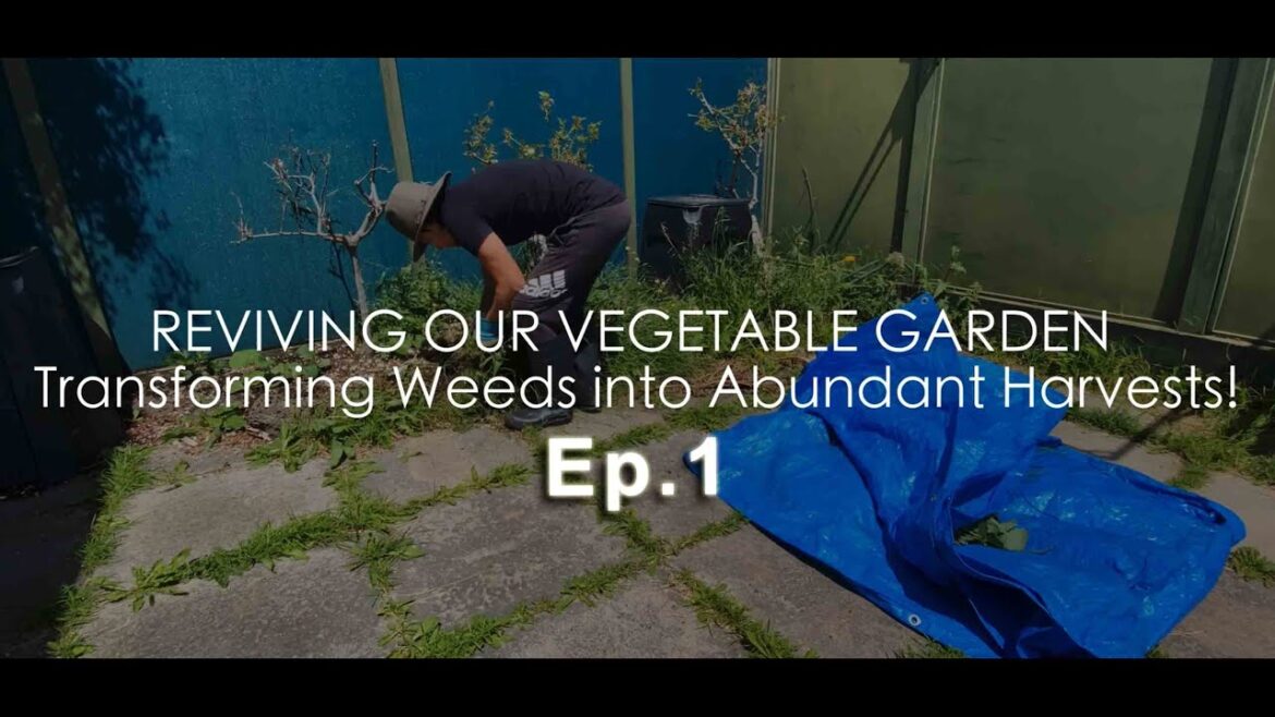 Reviving Our Vegetable Garden: Transforming Weeds into Abundant Harvests! Ep. 1 Reviving Our Vegetable Garden: Transforming Weeds into Abundant Harvests! Ep. 1