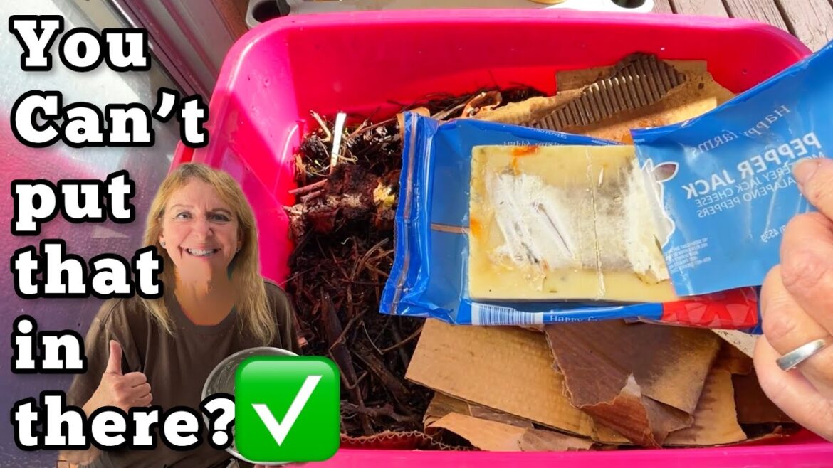 $5 Composting Container for Small Space Vegetable Gardening NO Turn, FREE Plant Fertilizer Worm Farm $5 Composting Container for Small Space Vegetable Gardening NO Turn, FREE Plant Fertilizer Worm Farm