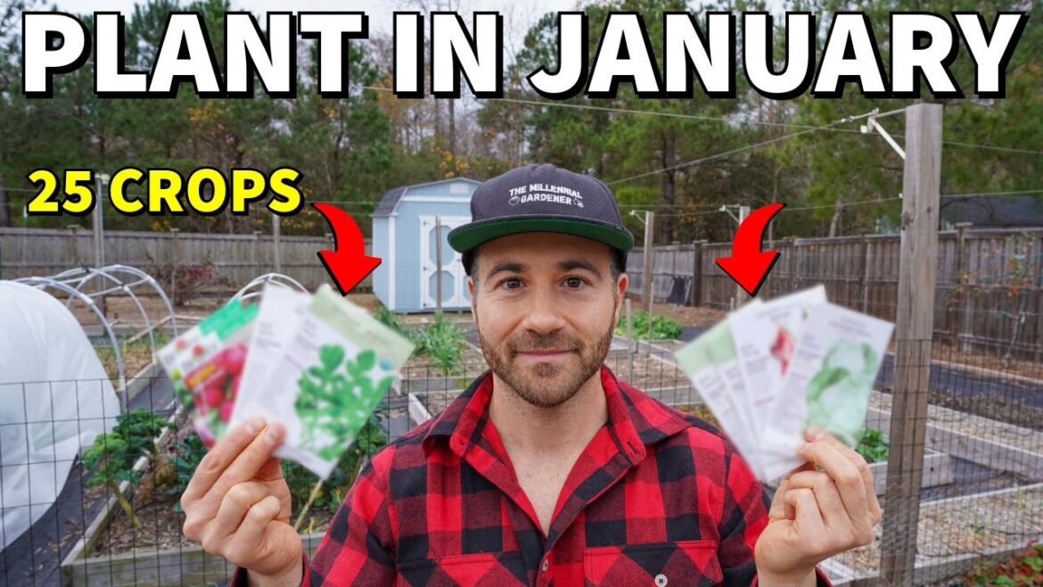 25 Veggies You Can Plant In January RIGHT NOW! 25 Veggies You Can Plant In January RIGHT NOW!