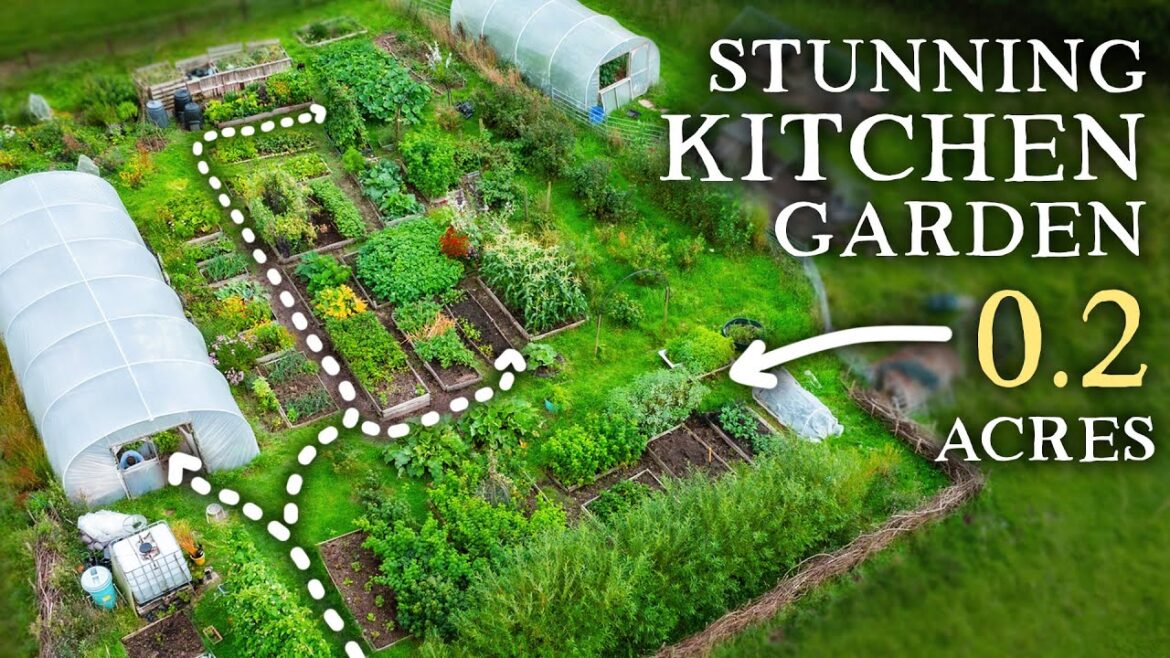 Productive Permaculture Inspired Kitchen Garden | Practical Self-Sufficiency in Action Productive Permaculture Inspired Kitchen Garden | Practical Self-Sufficiency in Action