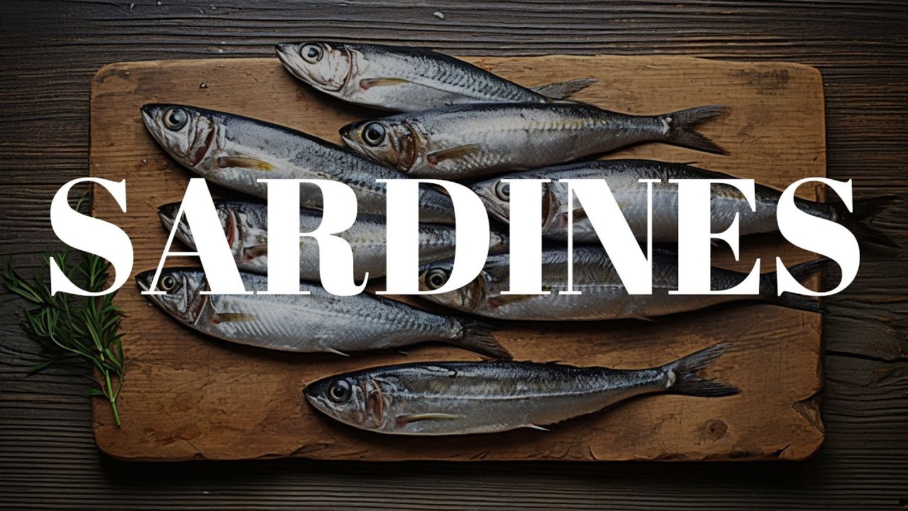 Sardines A Nutritious and Sustainable Food Option for a Healthier You