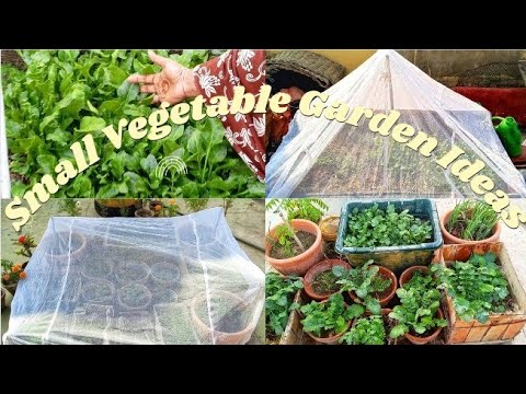 Vegetable Gardening Ideas For Rooftop || How To Make Kitchen Garden At Home || Organic Gardening Vegetable Gardening Ideas For Rooftop || How To Make Kitchen Garden At Home || Organic Gardening