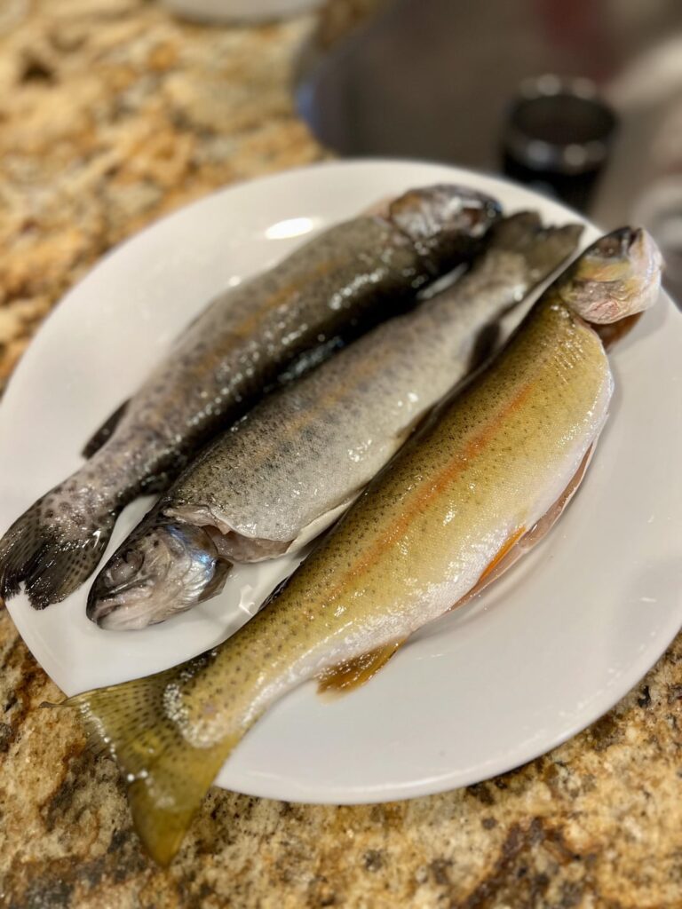 [homemade] Fresh caught trout