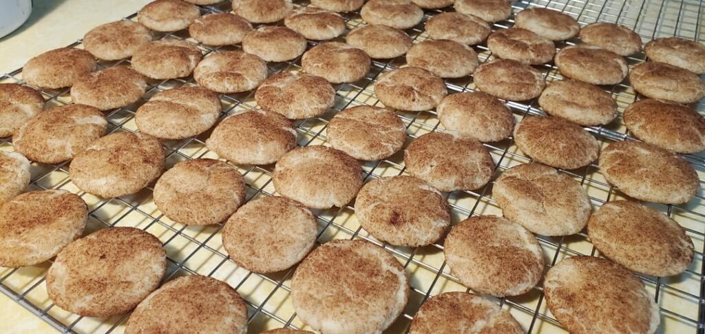 Mini snickerdoodles