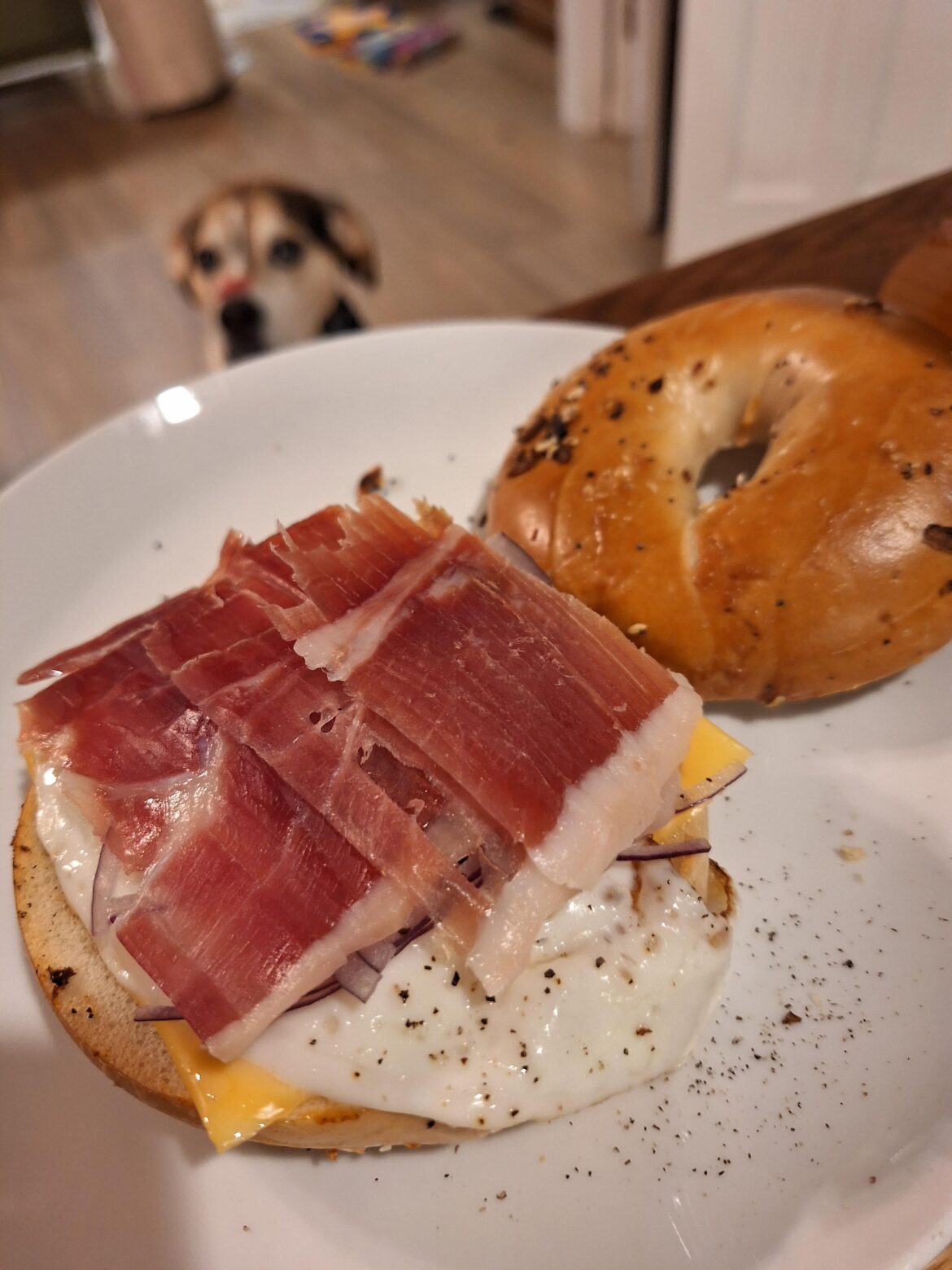 Jamon, egg, onion, and cheese on bagel