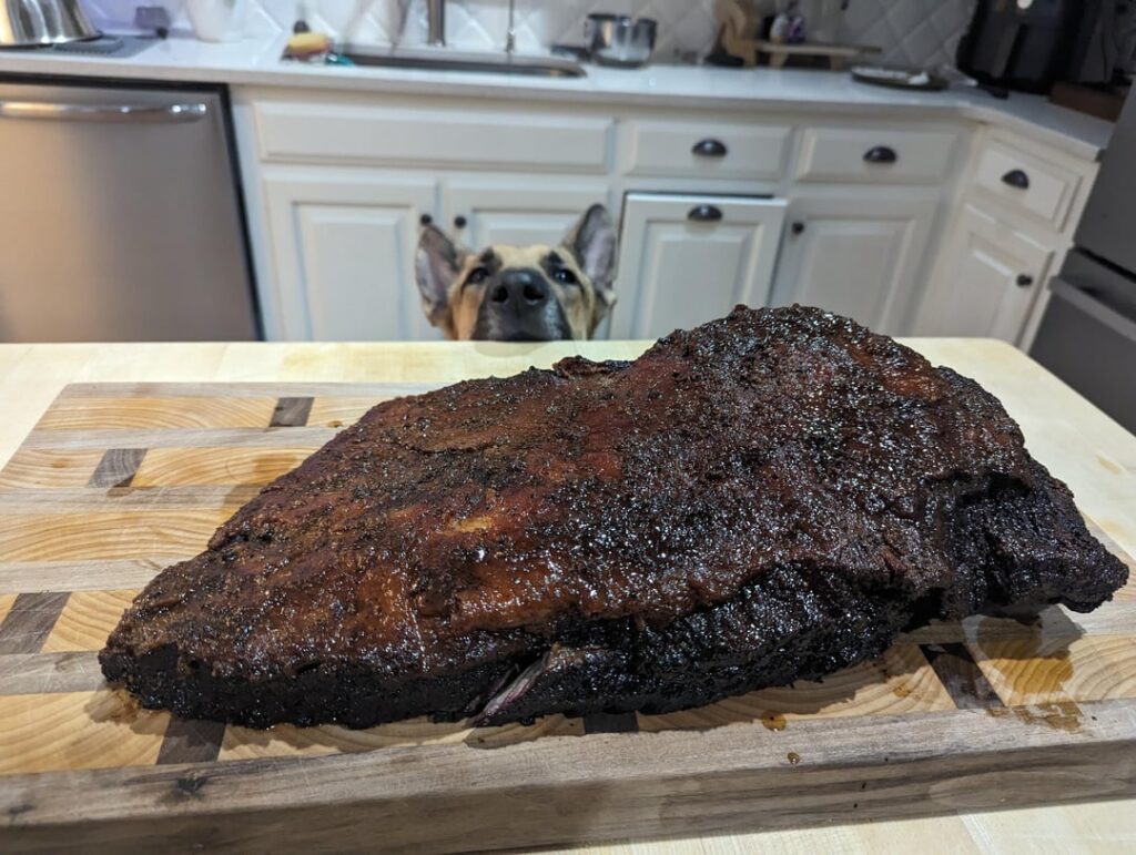 German Shepherd approved