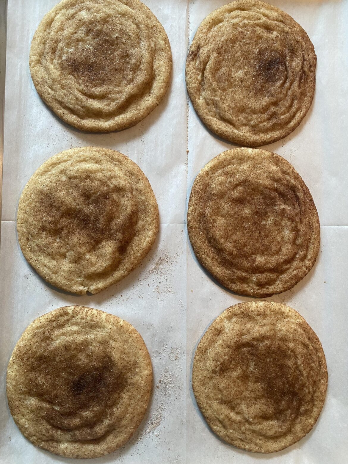 Broke the rules and made Snickerdoodles after Christmas