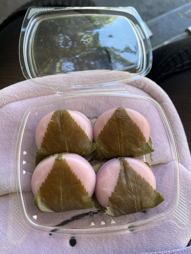 Sakura Mochiiii π‘ Sakura Mochiiii π‘