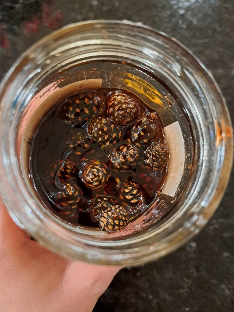 [I ate] Pine Cone Jam