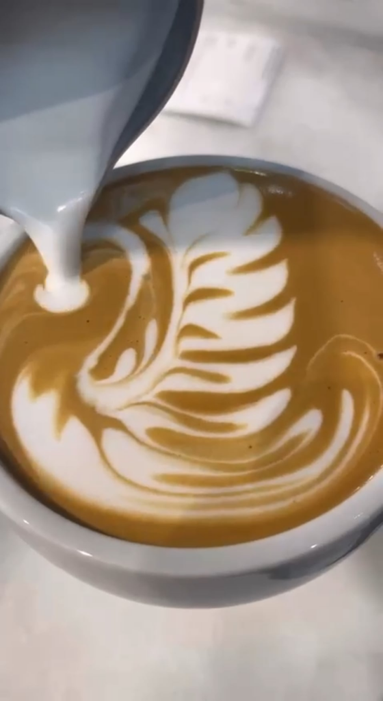 A chocolate cake with a nice cappuccino 🤩