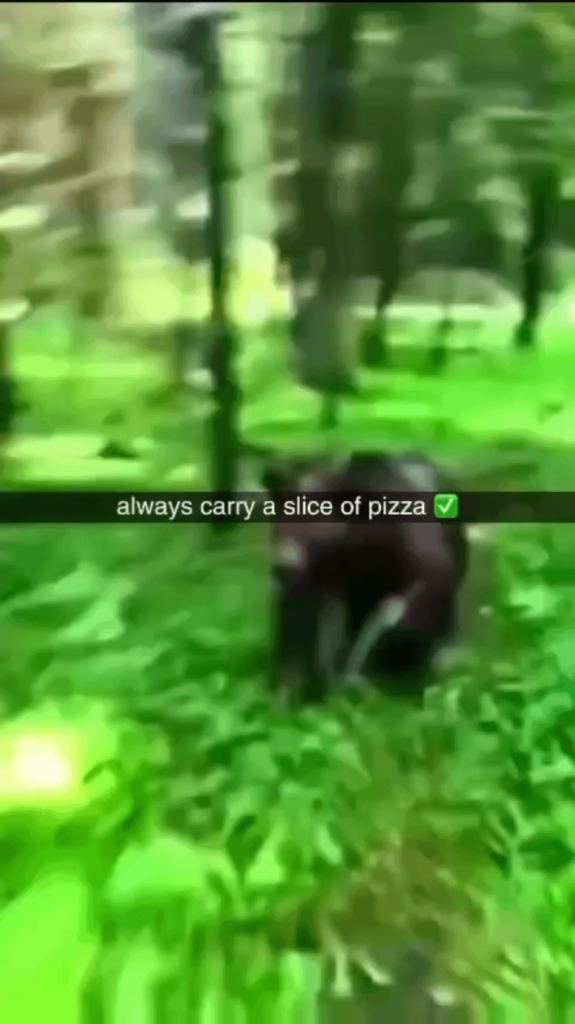 Pizza theft caught on camera