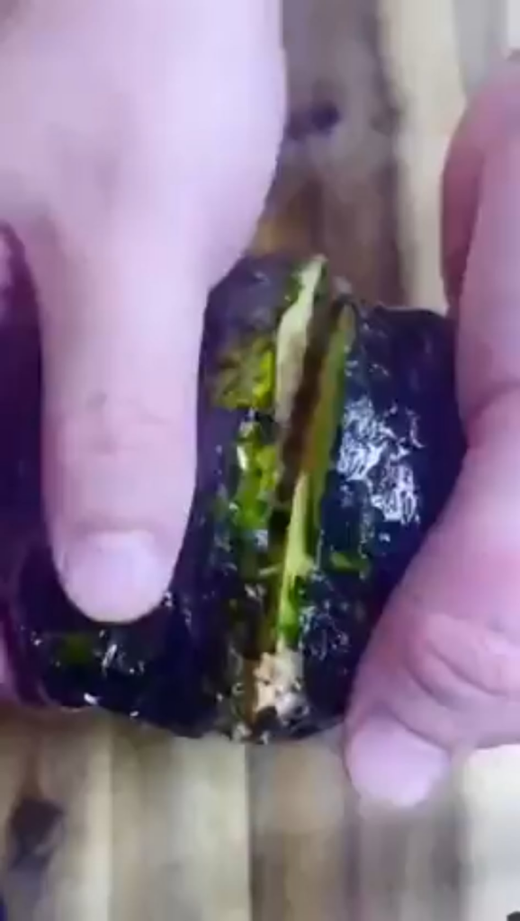 Quick and easy snack (it's sooooooo good)