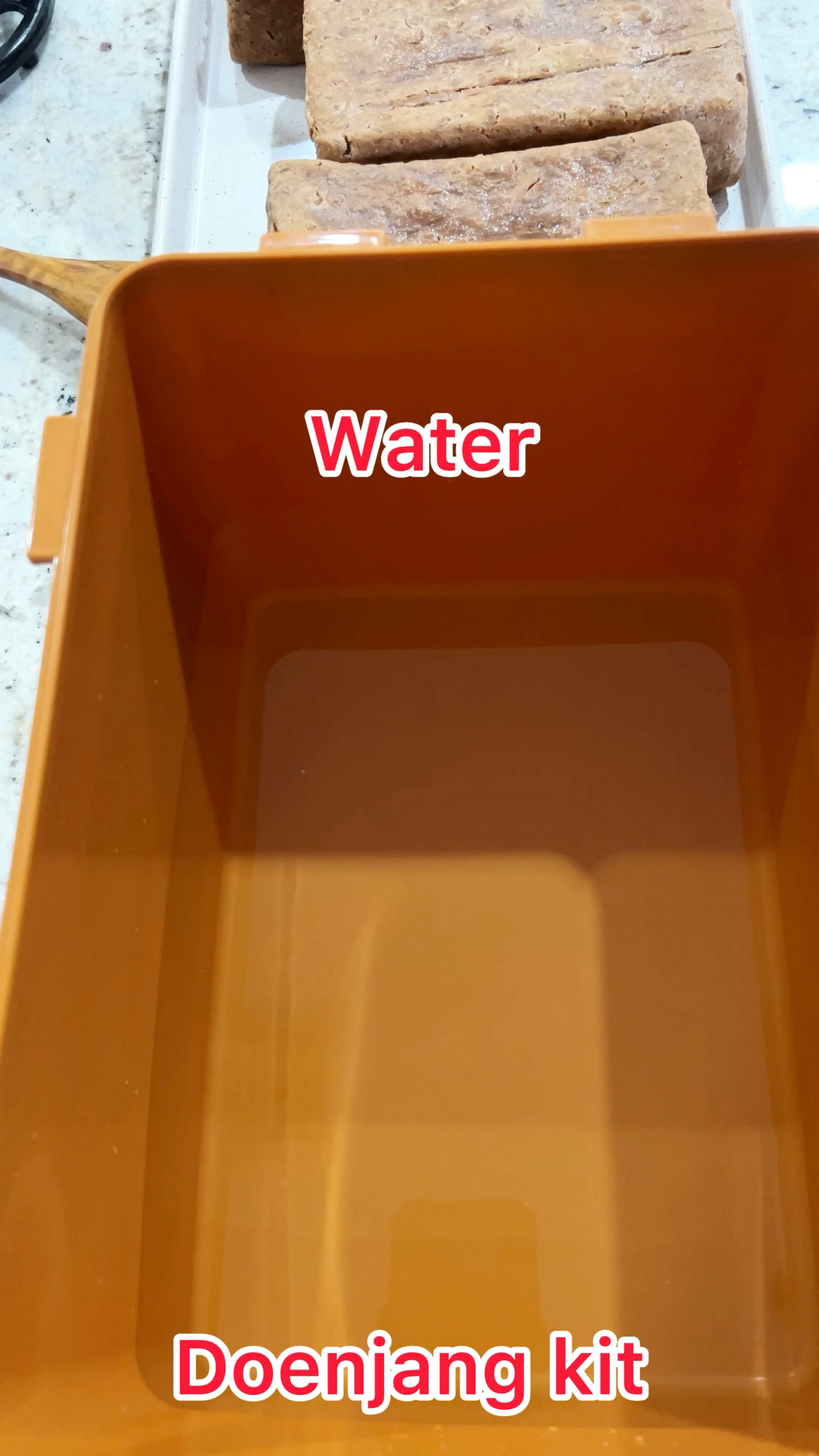 Doenjang from a kit?