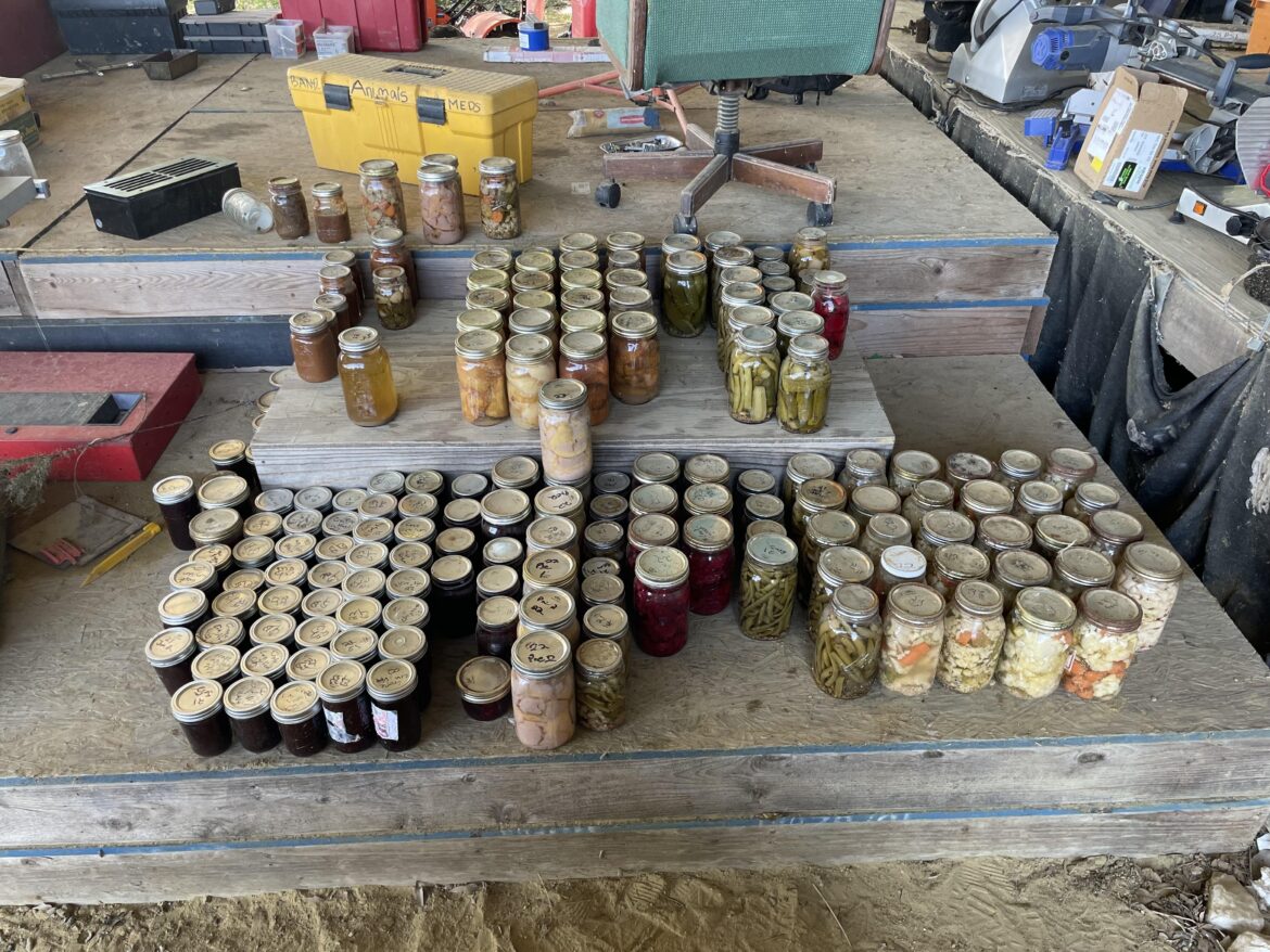 Some fruits of last year’s labor.