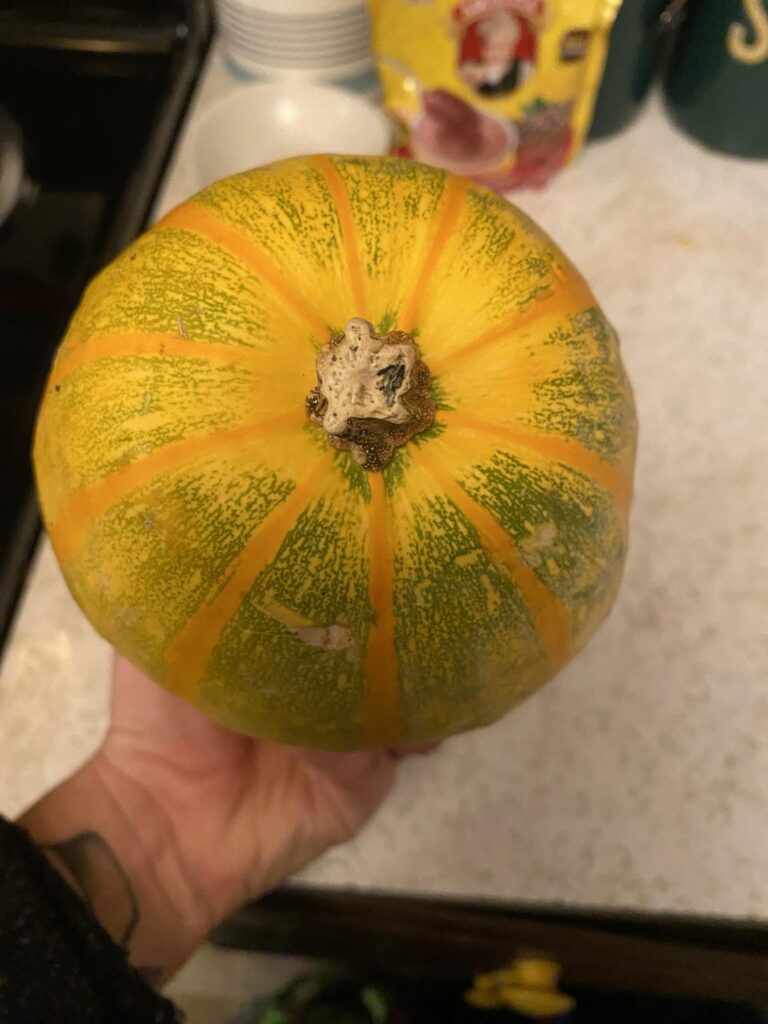 How to dry a winter squash