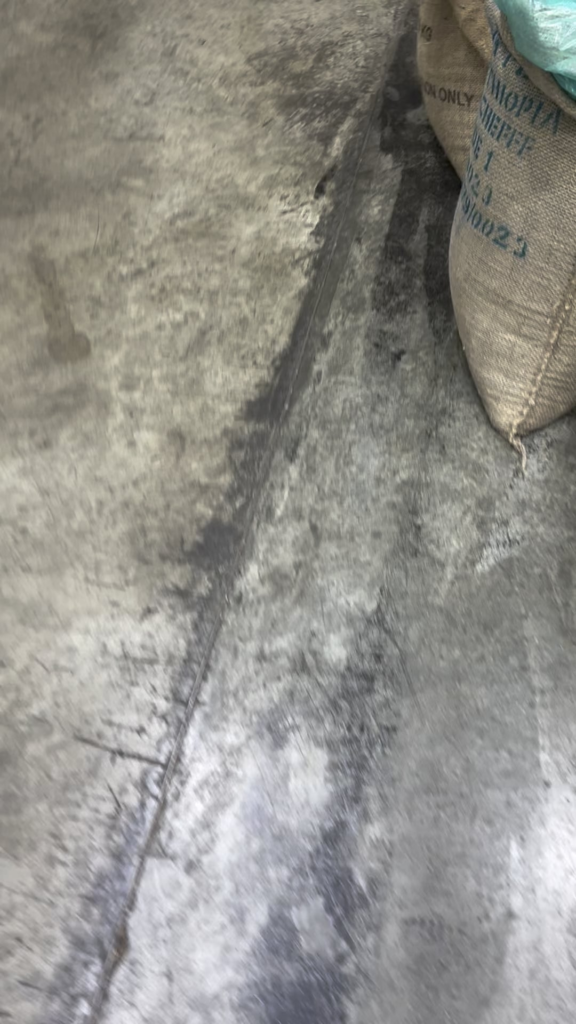 Love the feel of green beans…