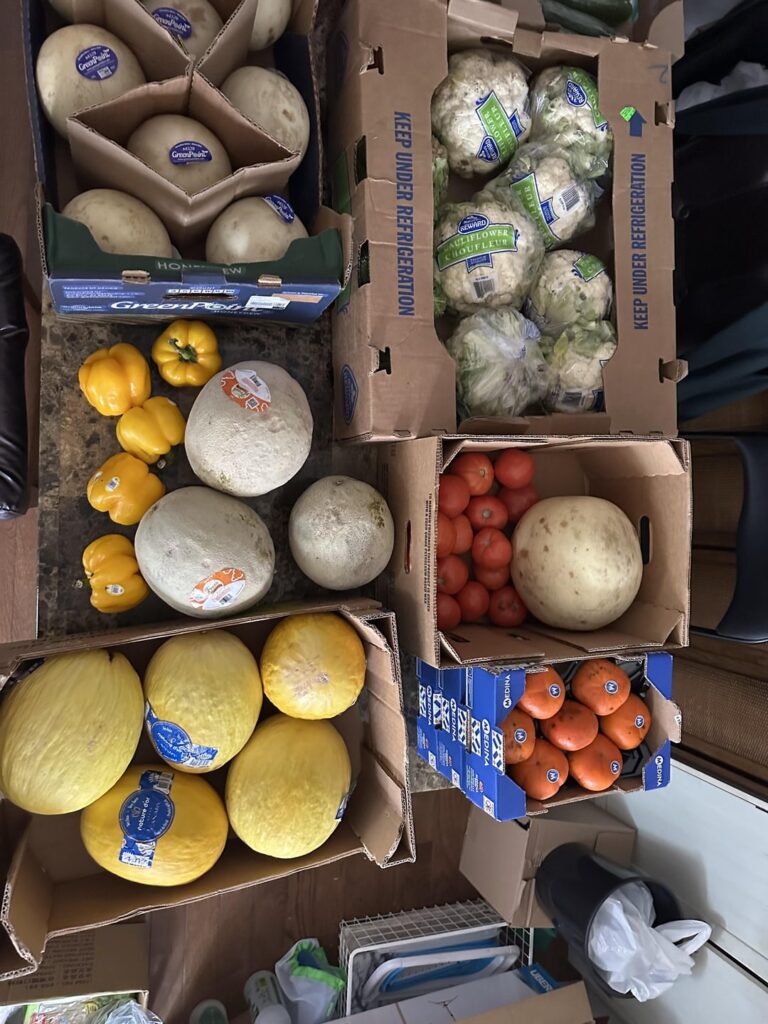 Produce from Too Good Too Go Canada Produce from Too Good Too Go Canada