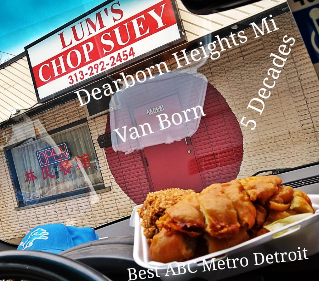 The great debate Light or Dark Chinese gravy for the ABC, I get 😋 both.