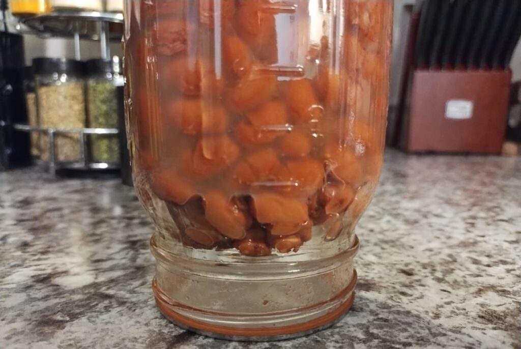 Safe to eat? New presto electric pressure canner.