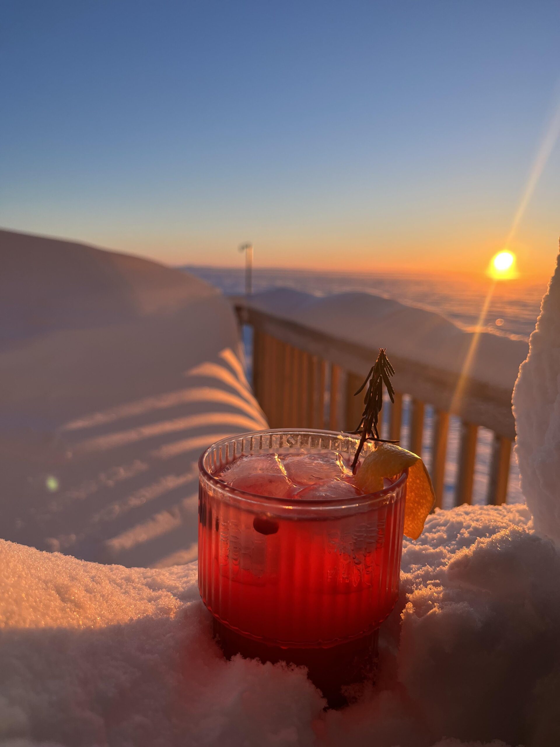 [homemade] wildberry simple syrup with vodka and labrador tea + lemon