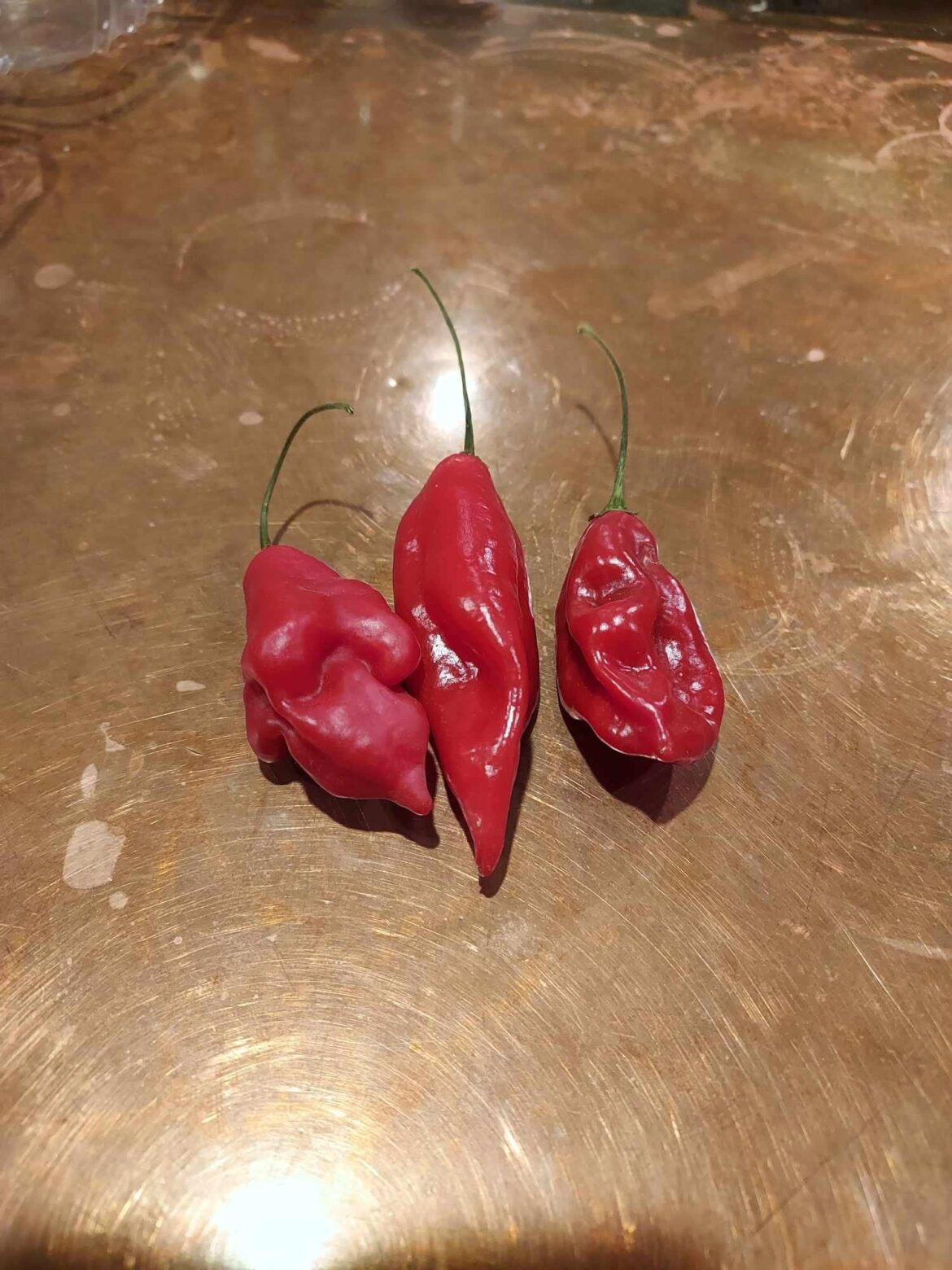 Unidentified Pepper Object