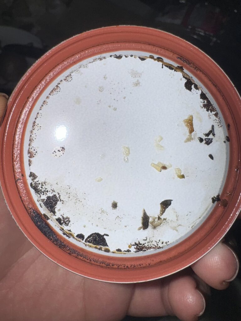 Is this mold?