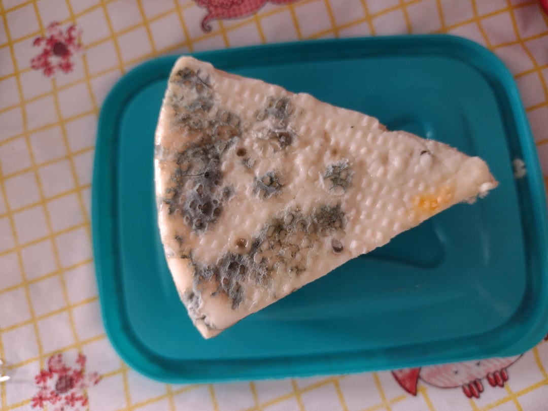 Is this blue cheese safe to eat? Dining and Cooking