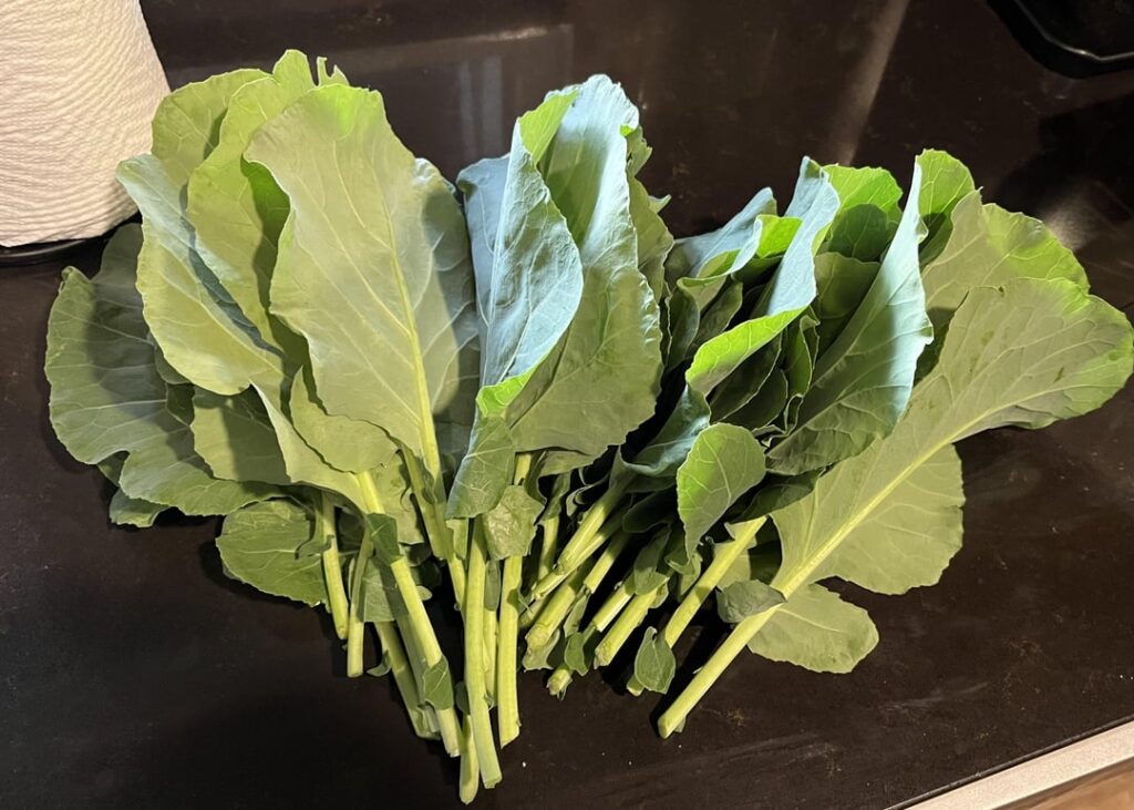Collards Fresh From the Garden are so Amazingly Delicious