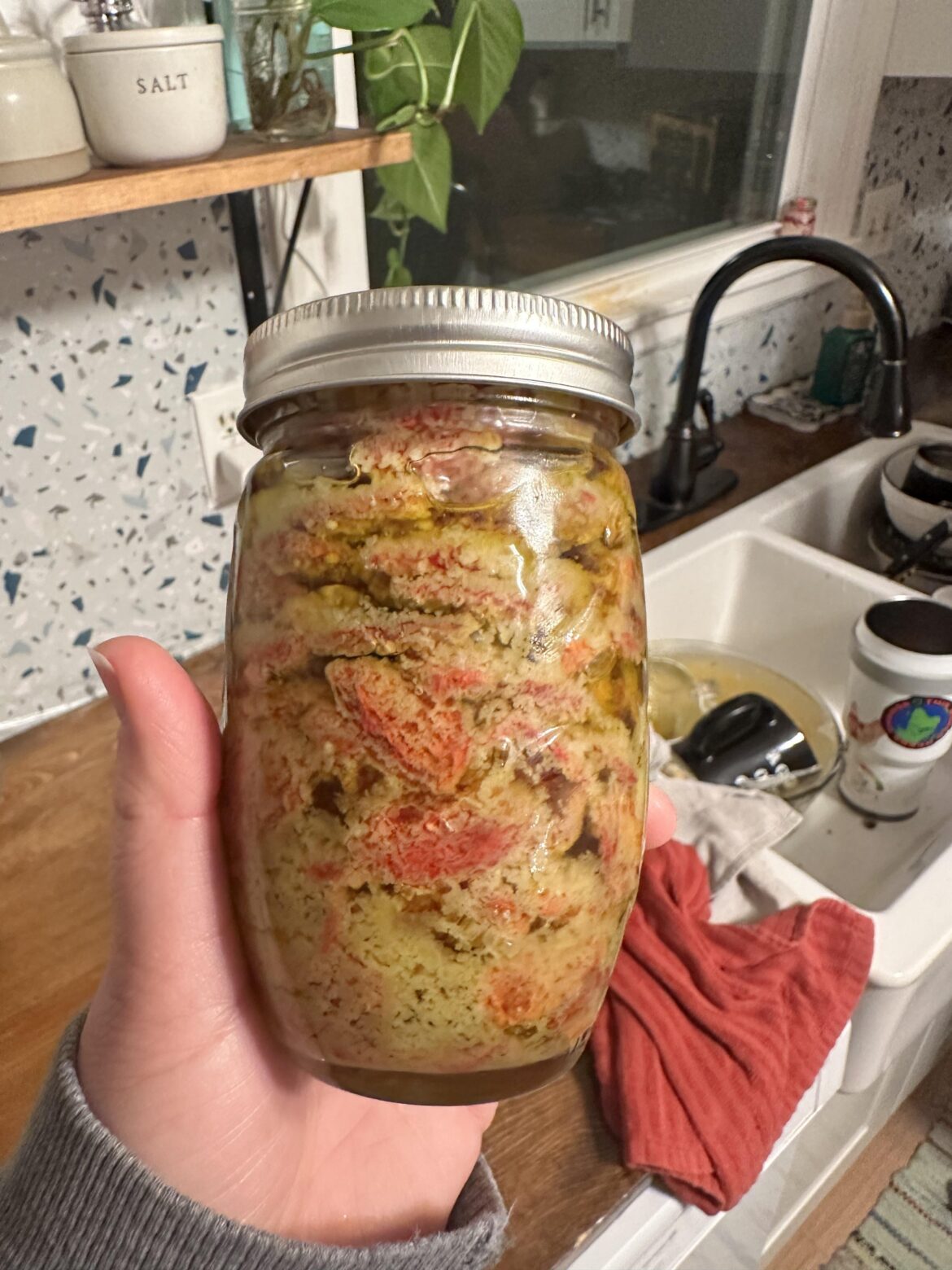 What happened to my sun dried tomatoes? I dehydrated for 15 hours and then put olive oil over them and stuck them in the fridge.