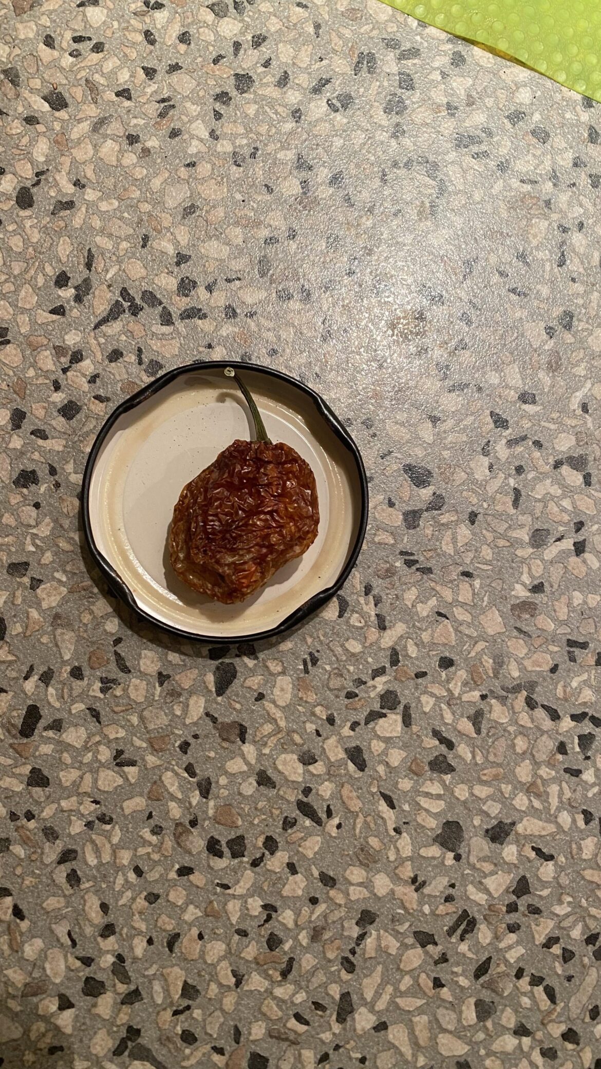 Any ideas what this could be