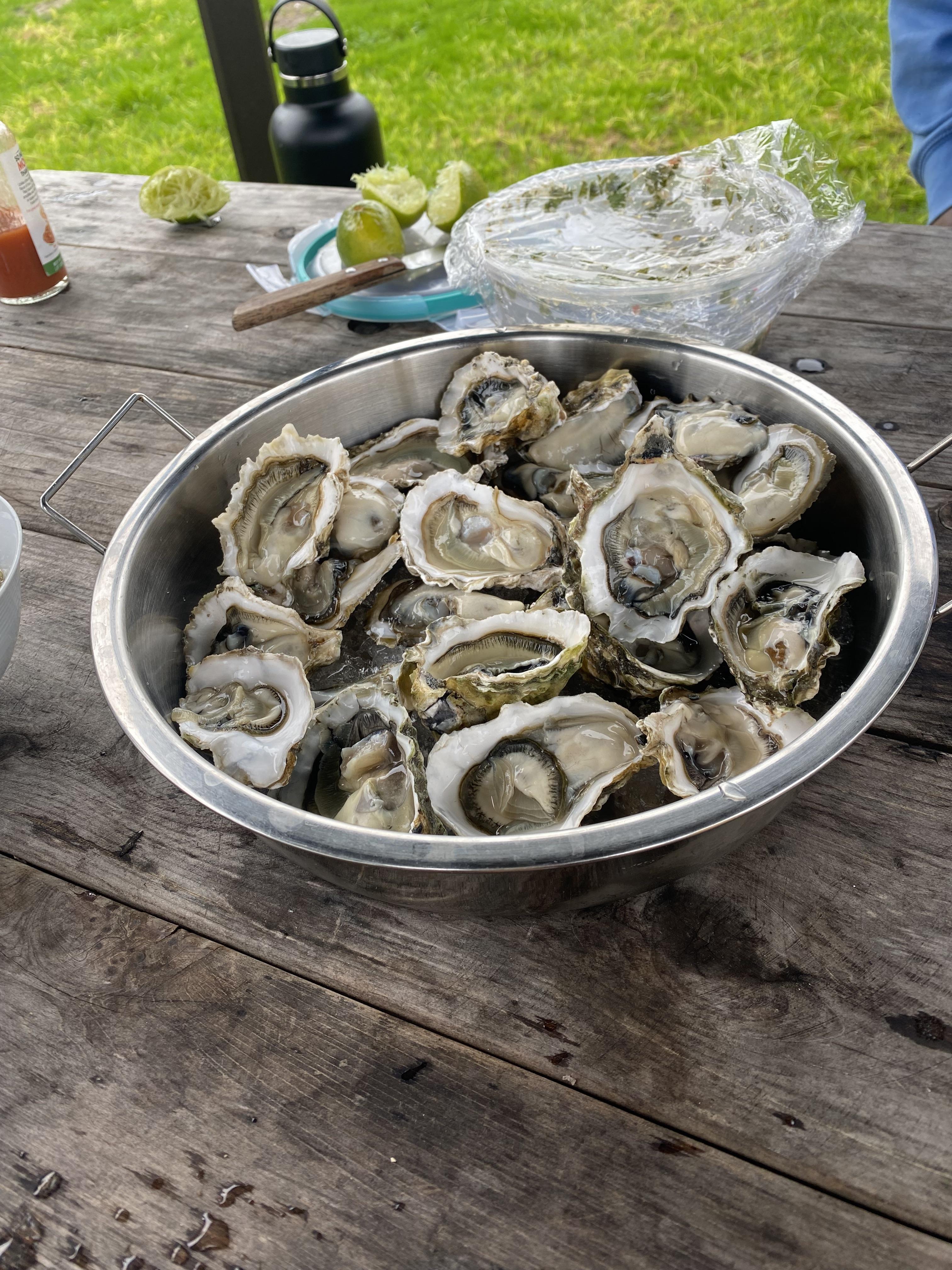 Bodega Bay Oysters Dining and Cooking