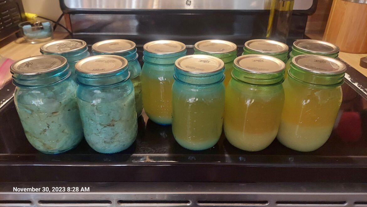 4 points of turkey meat and 7 turkey broth from a small 7 pound turkey. All set for turkey potpies