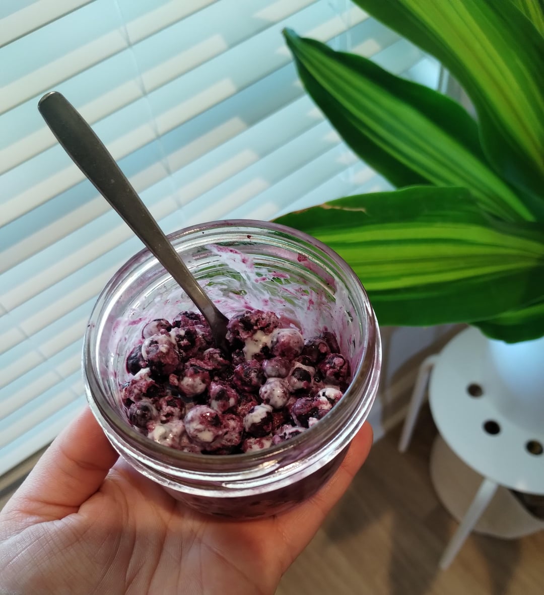 90 calorie 'Dippin Dots' are the best dessert! Dining and Cooking